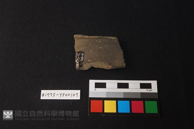陶片藏品圖，第2張