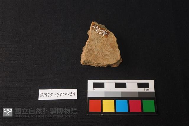 陶片藏品圖，第2張