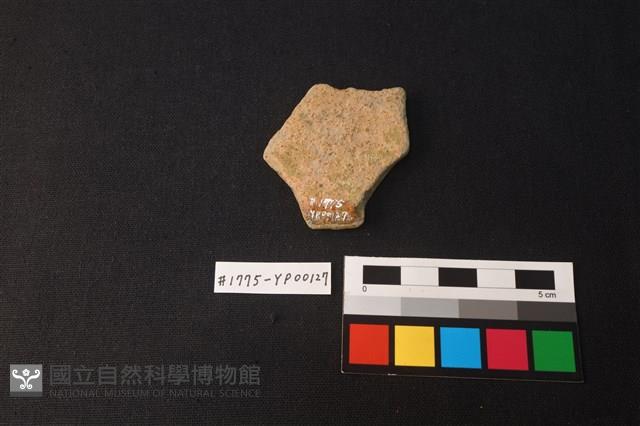 陶片藏品圖，第2張