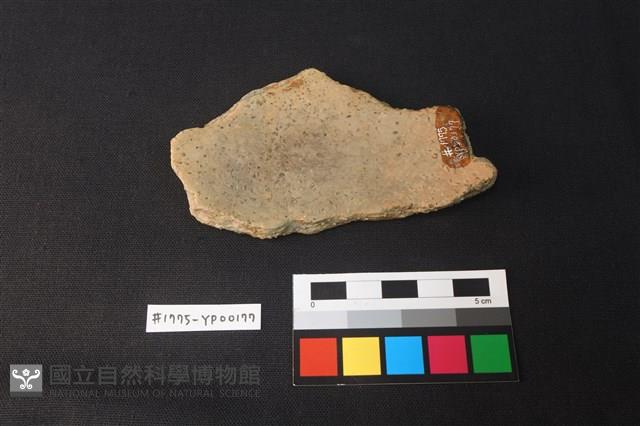 陶片藏品圖，第2張