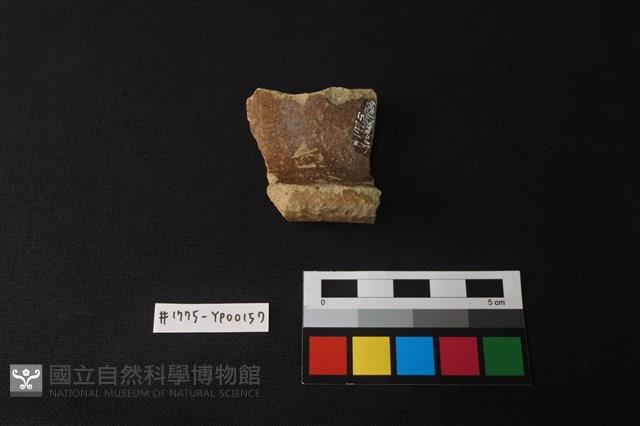陶片藏品圖，第2張