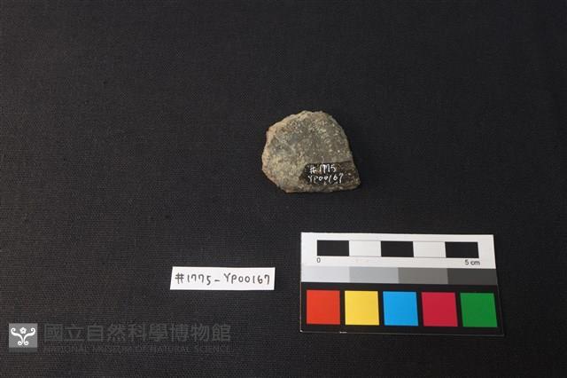 陶片藏品圖，第2張