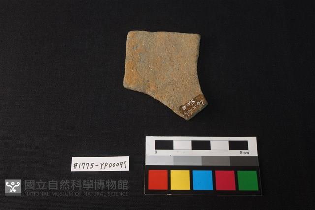 陶片藏品圖，第2張