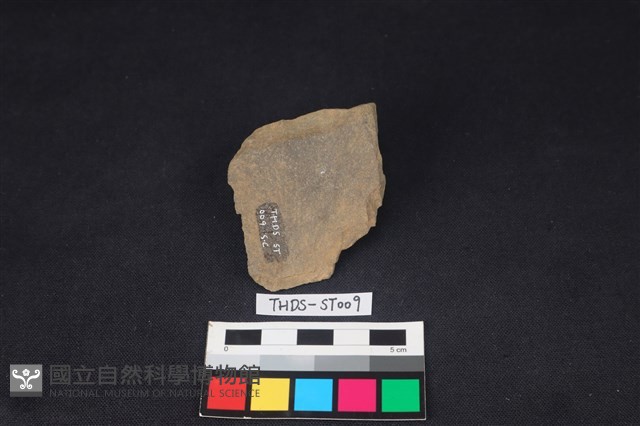 石片藏品圖，第2張