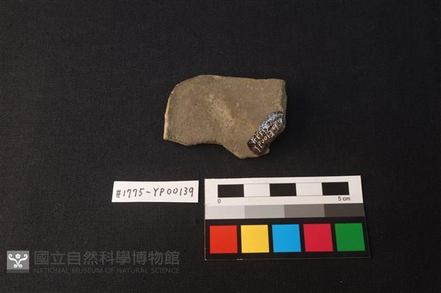 陶片藏品圖，第2張