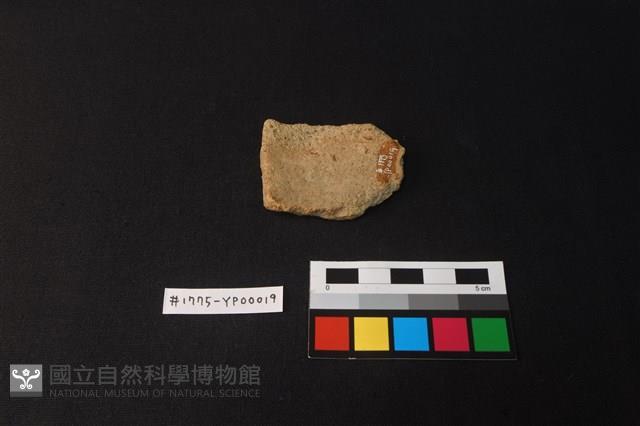 陶片藏品圖，第2張