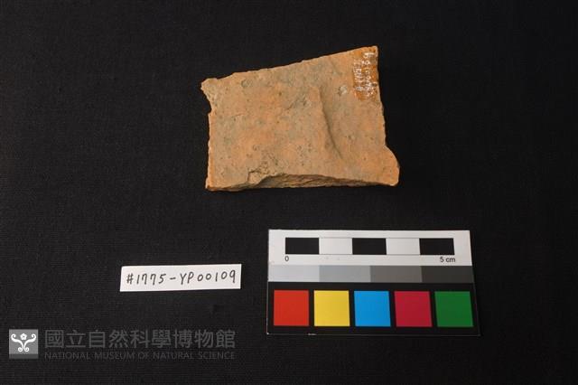 陶片藏品圖，第2張