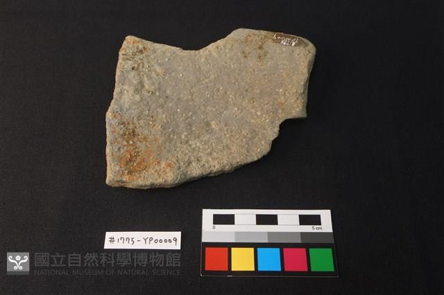 陶片藏品圖，第2張