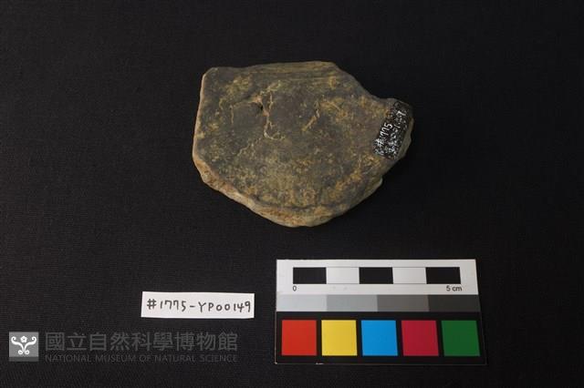 陶片藏品圖，第2張