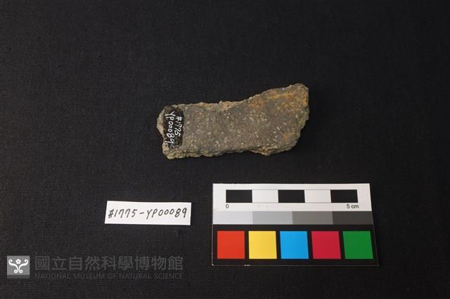 陶片藏品圖，第2張