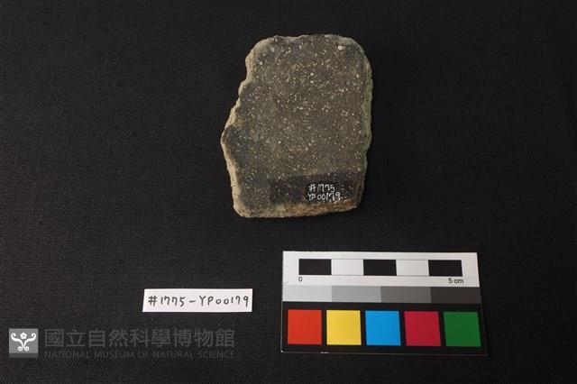 陶片藏品圖，第2張