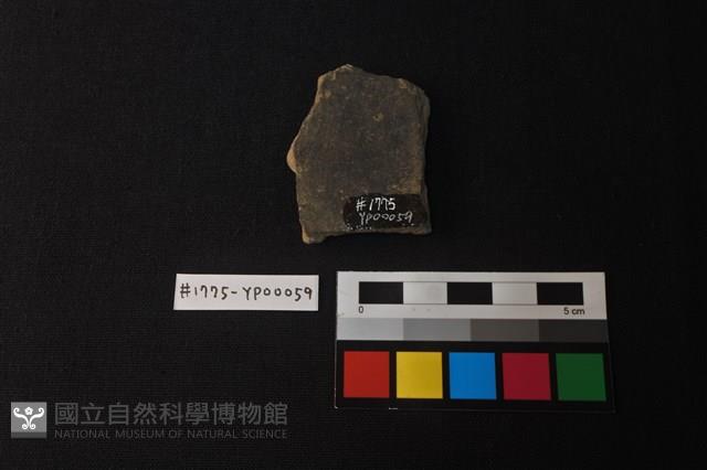 陶片藏品圖，第2張