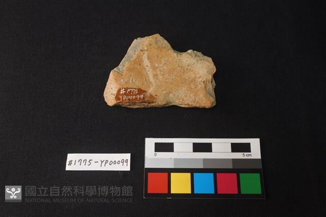 陶片藏品圖，第2張