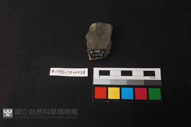 陶片藏品圖，第2張