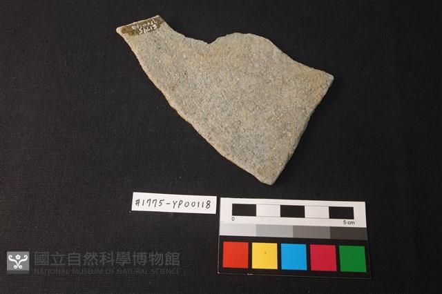 陶片藏品圖，第2張