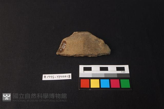 陶片藏品圖，第2張