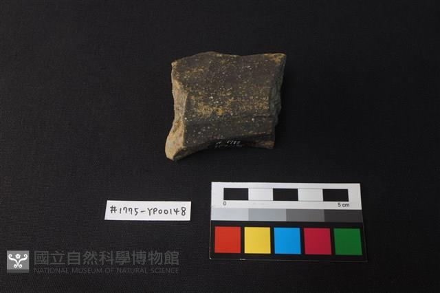 陶片藏品圖，第2張
