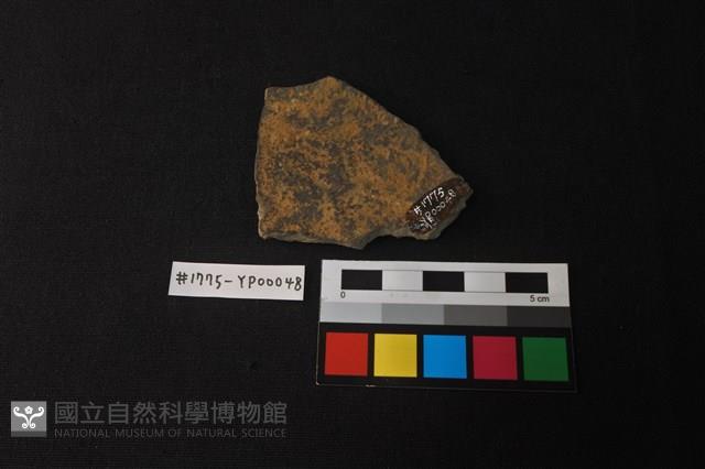 陶片藏品圖，第2張