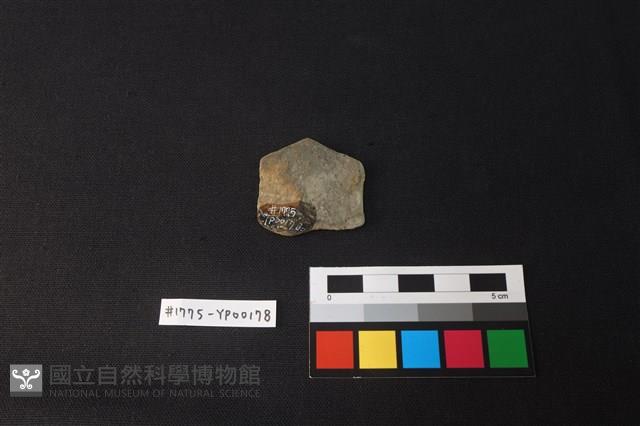 陶片藏品圖，第2張