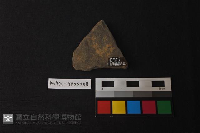 陶片藏品圖，第2張