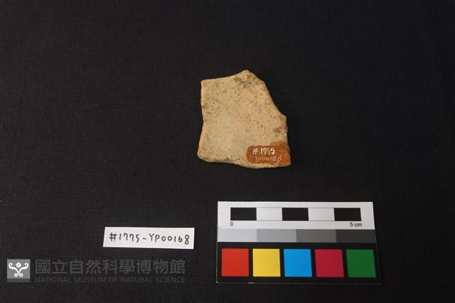 陶片藏品圖，第2張