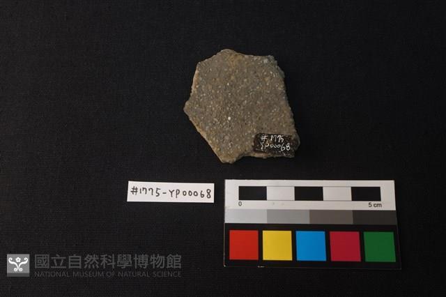 陶片藏品圖，第2張