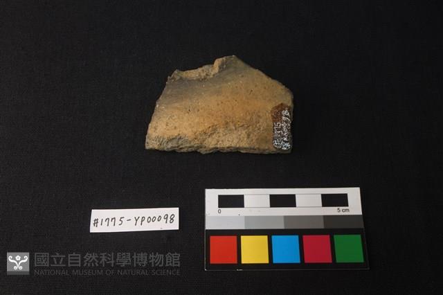 陶片藏品圖，第2張