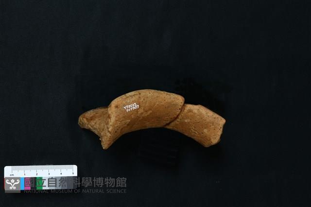 陶罐藏品圖，第7張