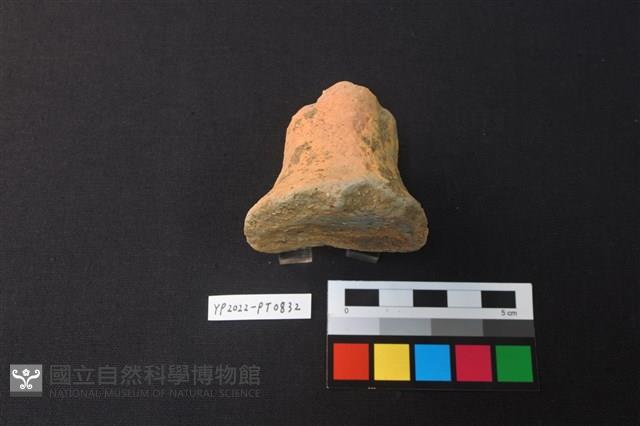 陶鈕藏品圖，第4張