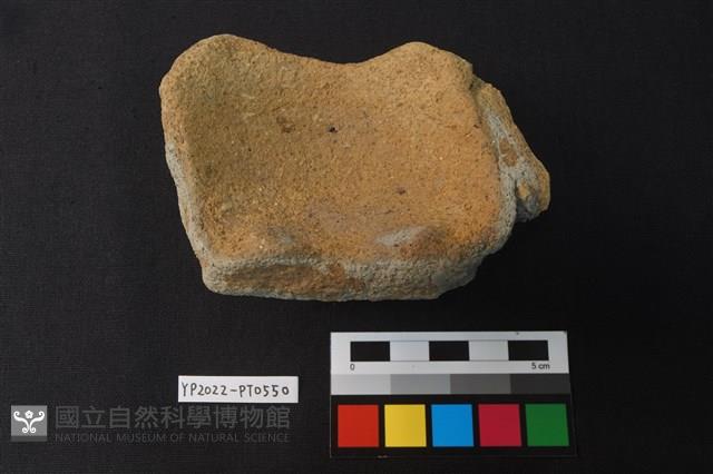 陶片藏品圖，第4張