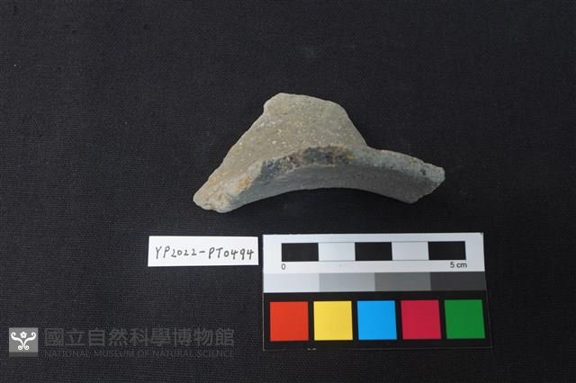 陶片藏品圖，第4張