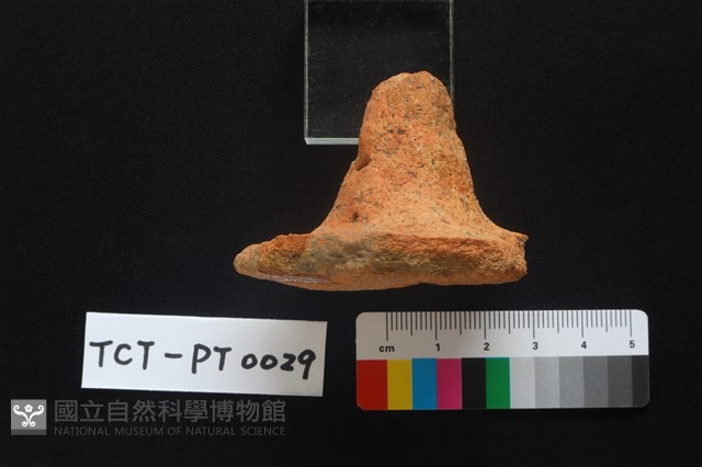 陶蓋鈕藏品圖，第4張