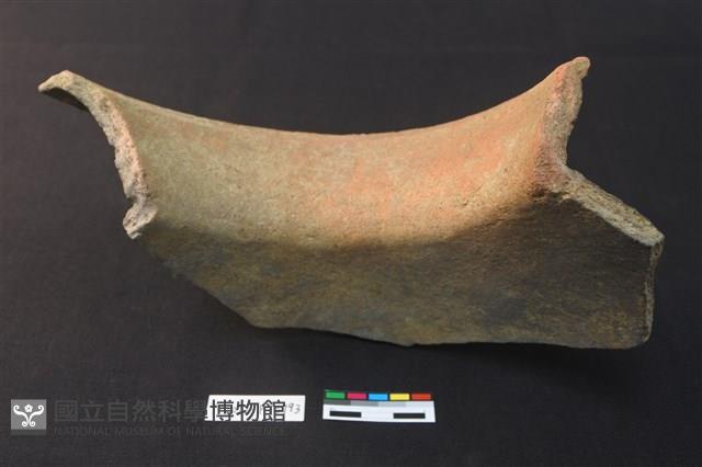 陶片藏品圖，第4張