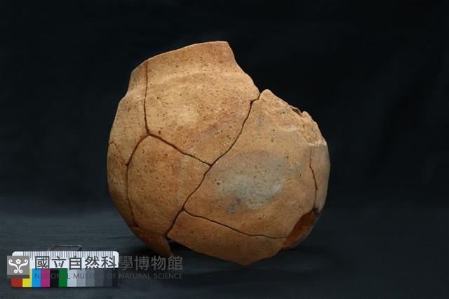陶罐藏品圖，第5張