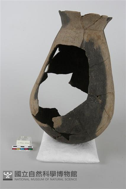 陶罐藏品圖，第5張