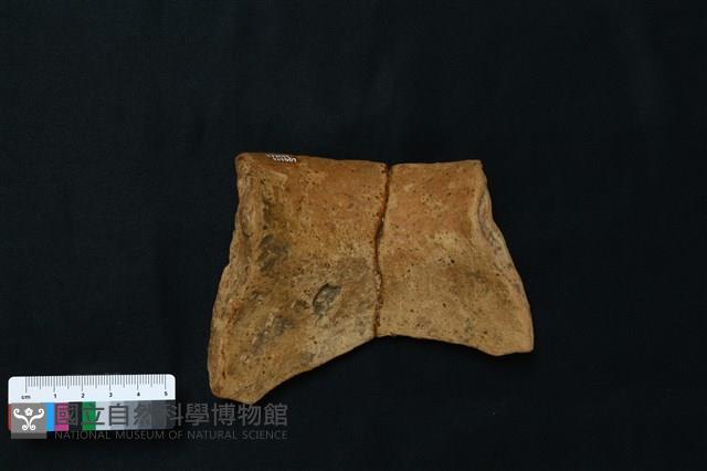 陶罐藏品圖，第5張