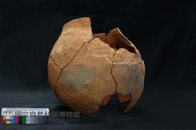 陶罐藏品圖，第6張