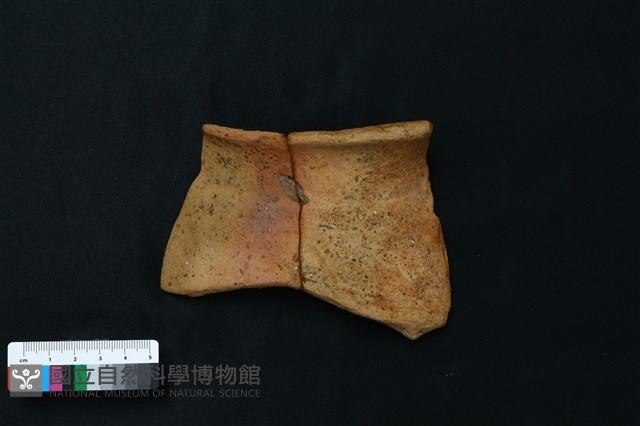陶罐藏品圖，第6張