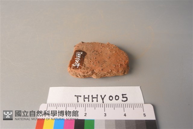 陶片藏品圖，第3張