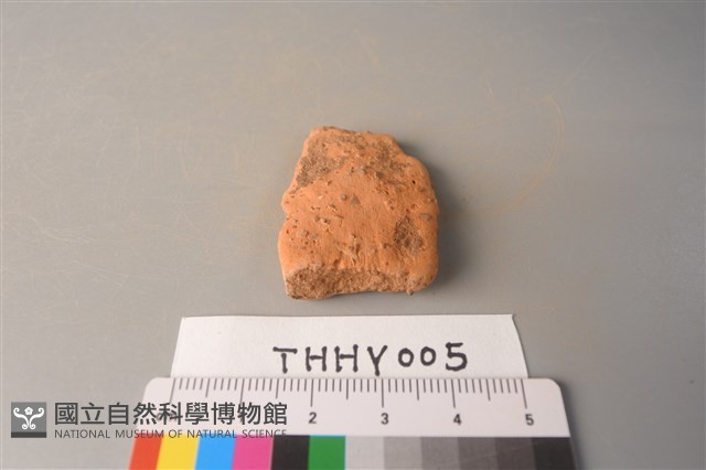 陶片藏品圖，第1張