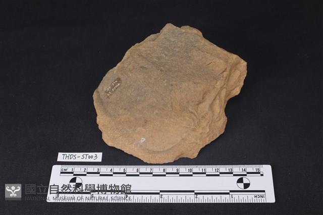 砍砸器藏品圖，第1張