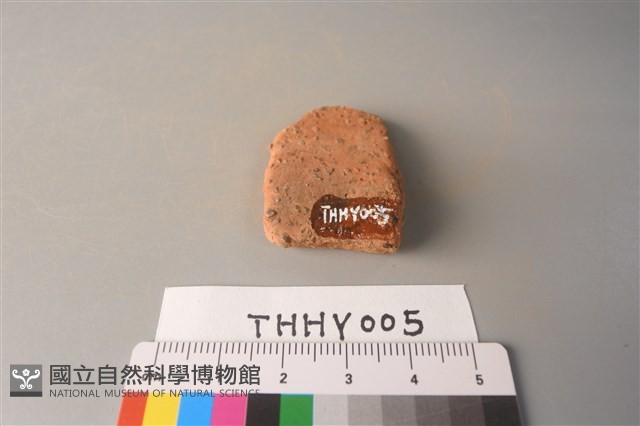 陶片藏品圖，第2張