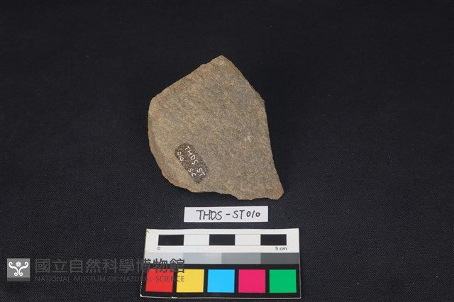 石片藏品圖，第2張