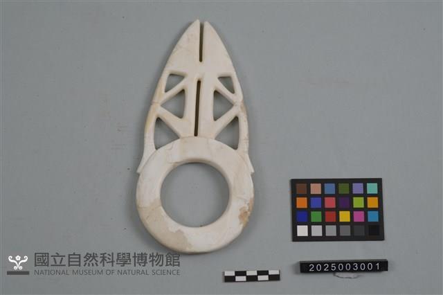 貝環雕飾藏品圖，第1張