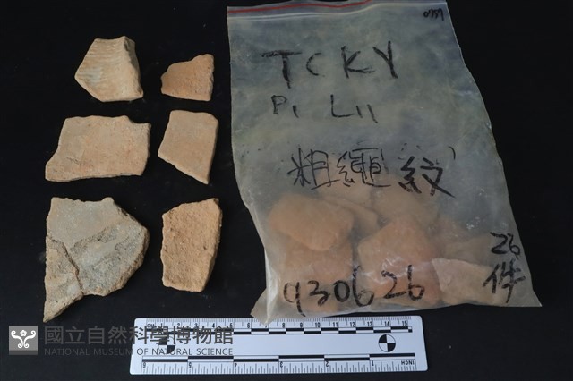 陶片藏品圖，第2張