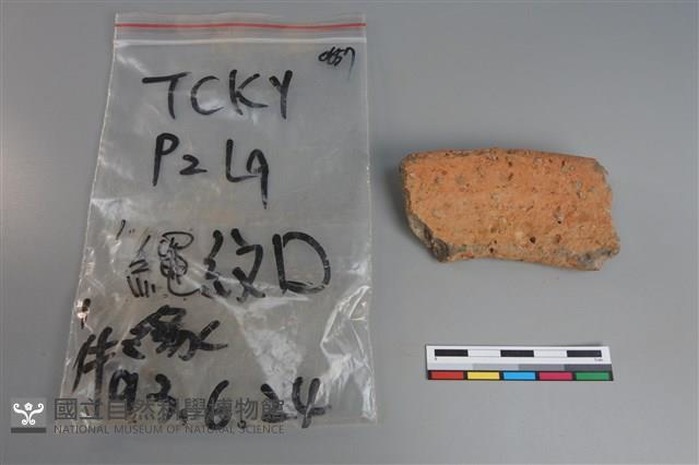 陶片藏品圖，第2張