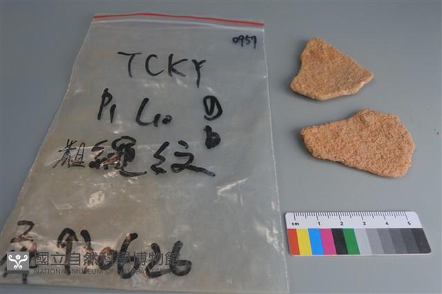 陶片藏品圖，第2張