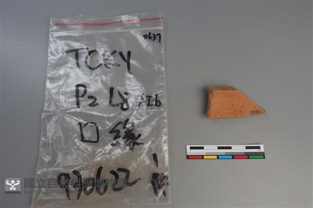 陶片藏品圖，第2張