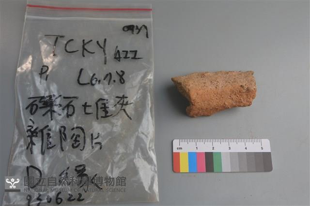 陶片藏品圖，第2張