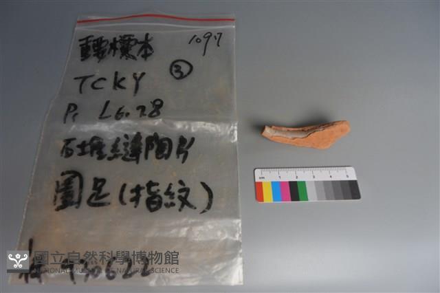 陶片藏品圖，第2張